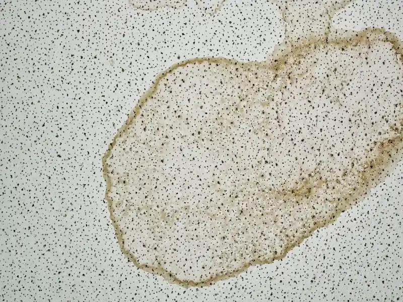 Water stain with irregular shape on a white speckled ceiling tile.
