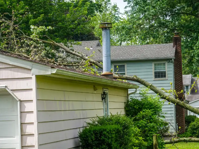A large tree branch has fallen and is resting on the roof of a light-colored house.