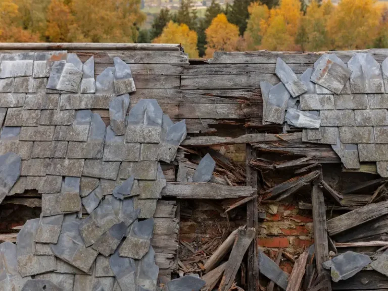 Close-up of a damaged wooden roof with broken shingles and exposed beams against a backdrop of autumn trees.