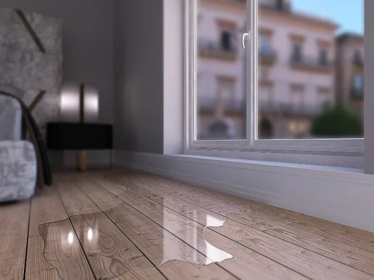 Water spilled on a wooden floor near a window in a room.