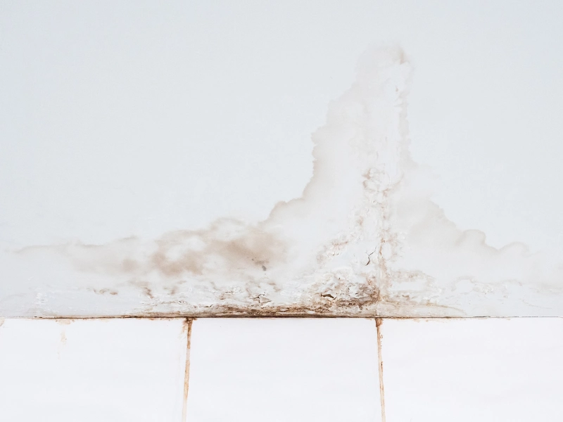 Water damage and mold stains on a white wall above tiled surface.